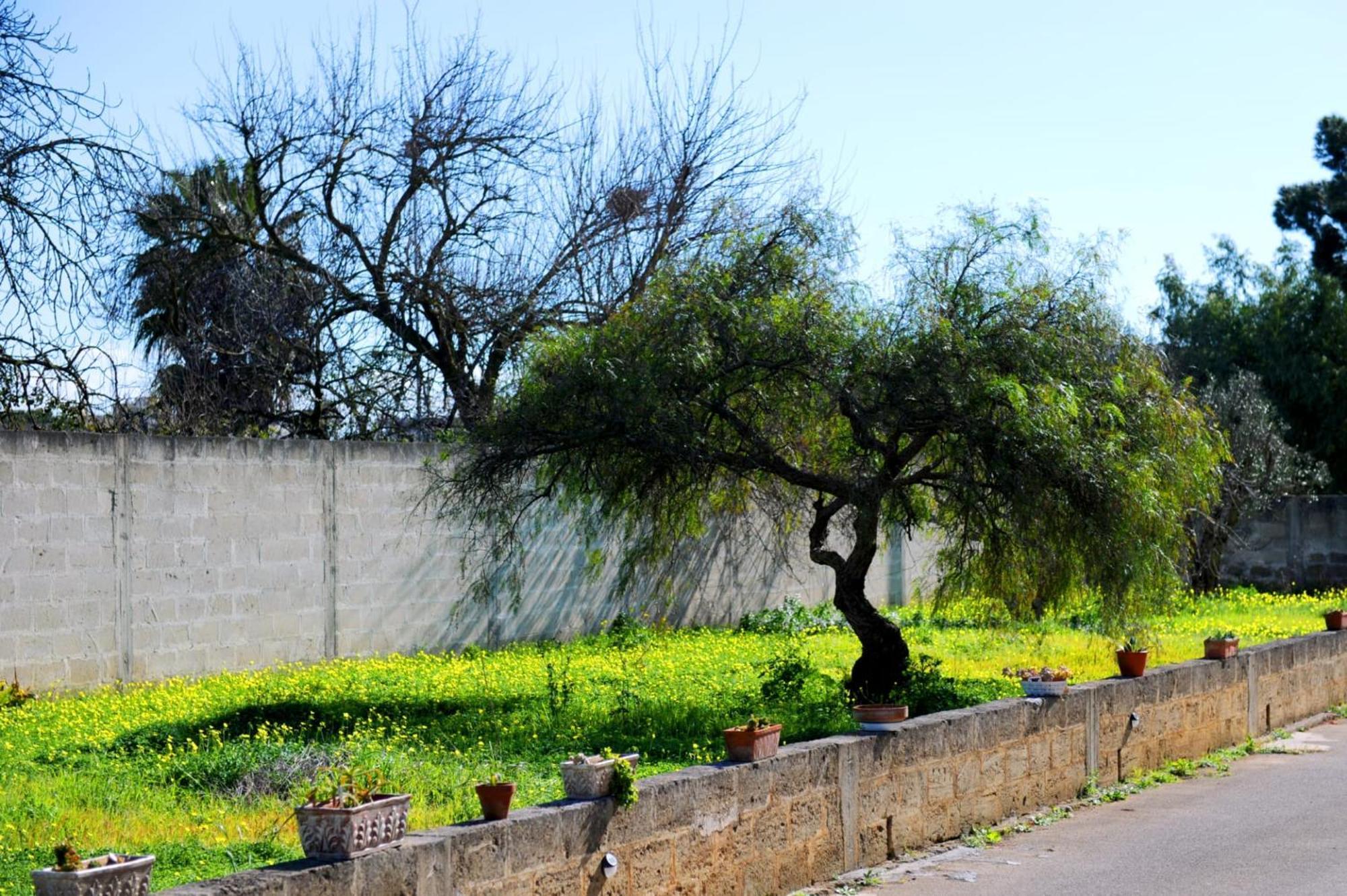 Le Residenze Salentine - Case Vacanza In Lecce Bagian luar foto